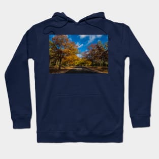 Honour Avenue, Mount Macedon, Victoria, Australia. Hoodie